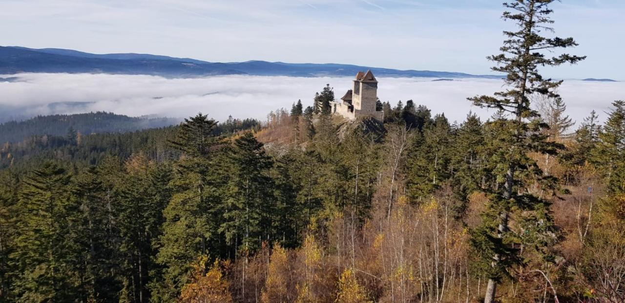 Hotel Zlaty Potok Nicov  Zewnętrze zdjęcie