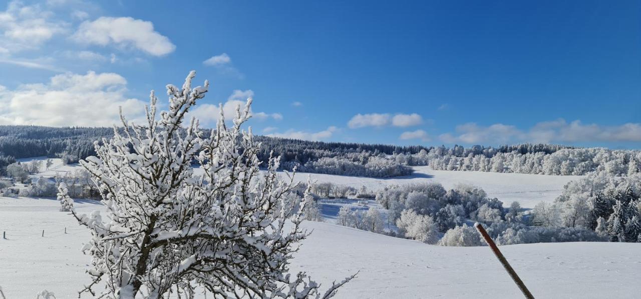 Hotel Zlaty Potok Nicov  Zewnętrze zdjęcie