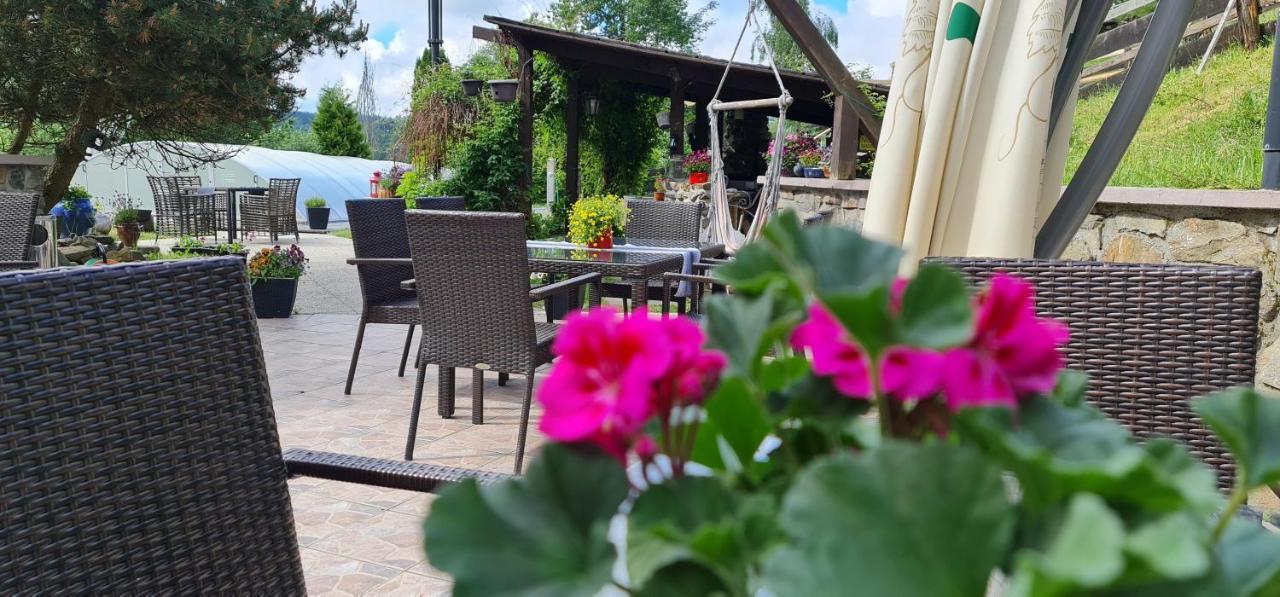 Hotel Zlaty Potok Nicov  Zewnętrze zdjęcie