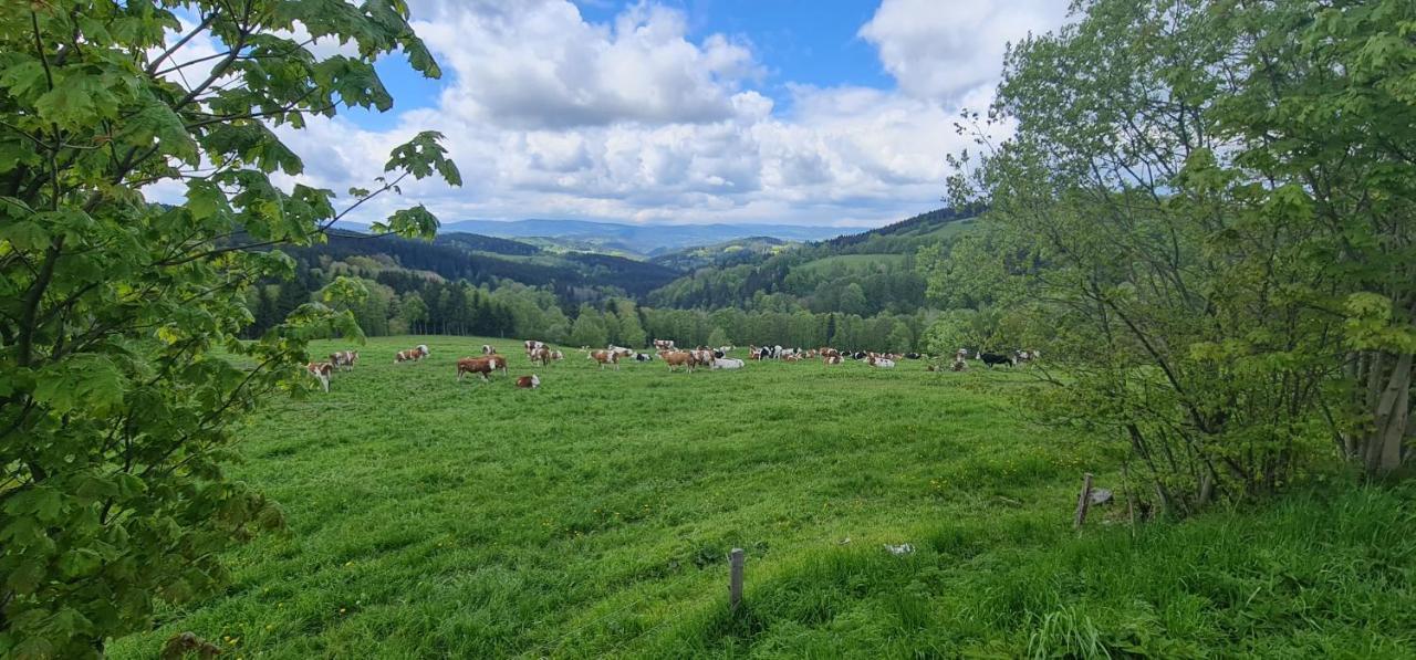 Hotel Zlaty Potok Nicov  Zewnętrze zdjęcie
